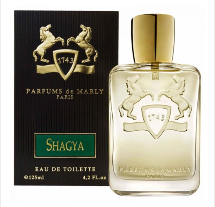 عطر مردانه پارفومز د مارلی مدل Shagya (شگیا)