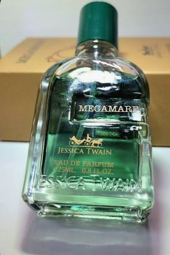 عطر مگاماره مردانه؛ رایحهای دریایی و ماندگار